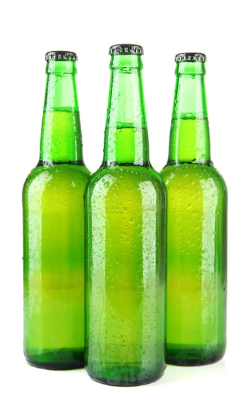 Botellas de cerveza aisladas en blanco —  Fotos de Stock