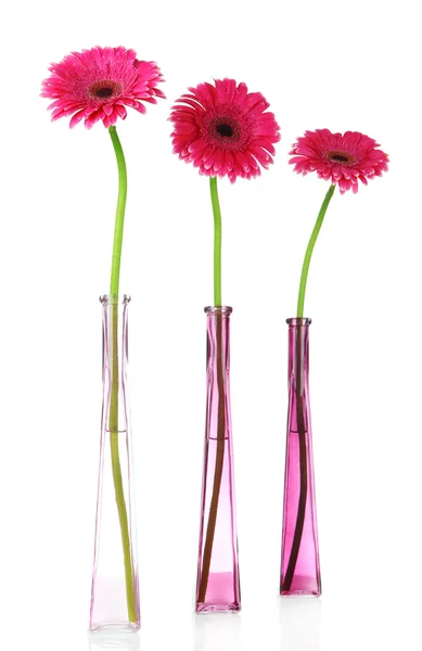 Beautiful pink gerbera flowers in vases isolated on white — Stock Photo, Image