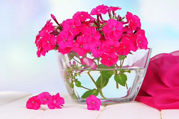 Hermoso ramo de flox en cuenco sobre la mesa sobre fondo claro —  Fotos de Stock