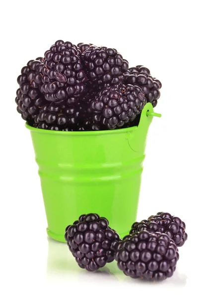 在桶上白色隔离甜黑莓 — 图库照片