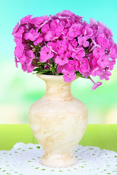 Beautiful bouquet of phlox in vase on table on light background — Stock Photo, Image