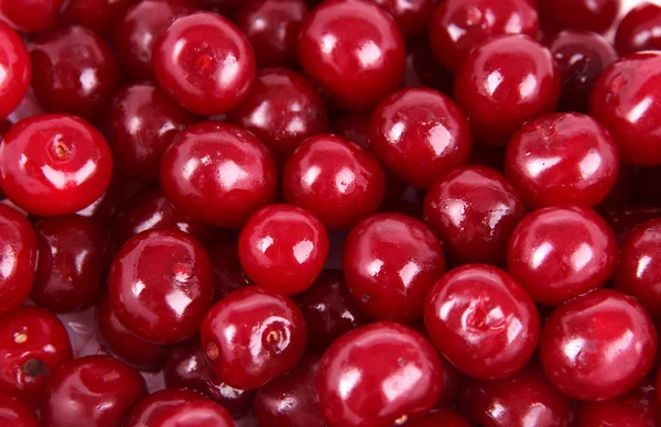 Sweet cherry close-up — Stock Photo, Image