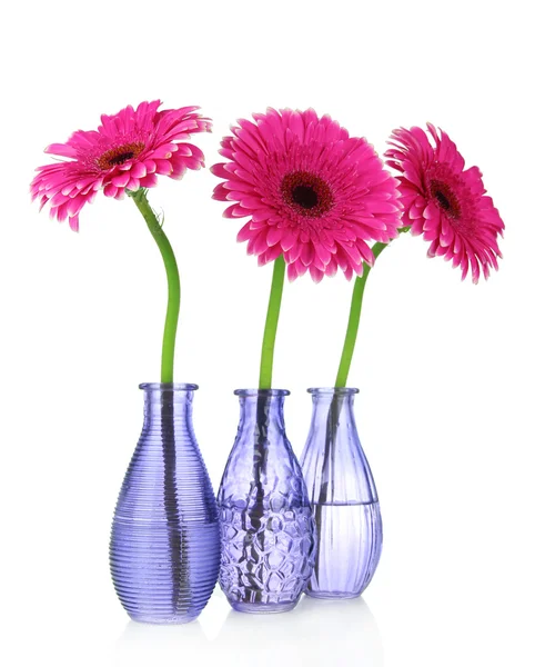 Schöne rosa Gerbera-Blüten in Vasen isoliert auf weiß — Stockfoto
