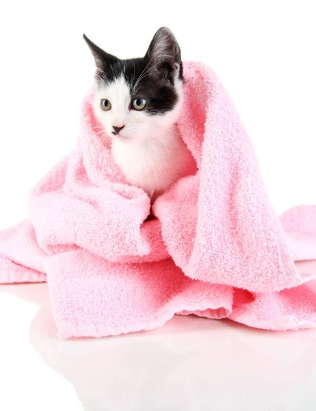 Kleine kitten in roze handdoek geïsoleerd op wit — Stockfoto