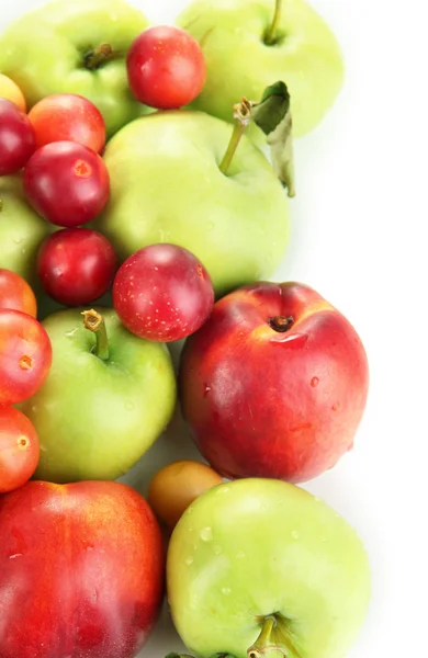 Assortment of juicy fruits, isolated on white — Stock Photo, Image