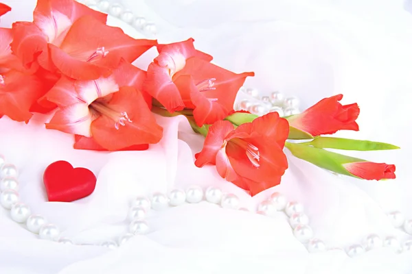 Schöne Gladiolenblume auf weißem Stoff Hintergrund — Stockfoto