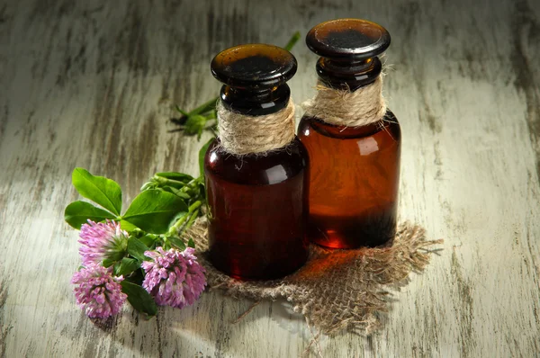 Botellas medicinales con flores de trébol sobre mesa de madera —  Fotos de Stock