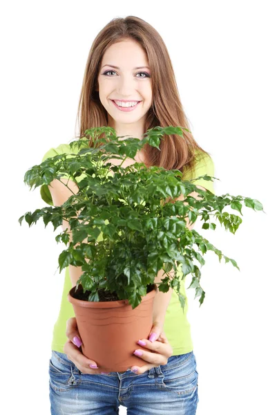 Vacker flicka med blomma i kruka isolerad på vit — Stockfoto