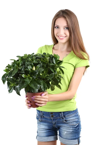 Mooi meisje met bloem in pot geïsoleerd op wit — Stockfoto