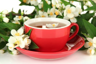 Yasemin, üzerinde beyaz izole ile çay