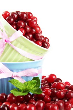 Olgun kırmızı cranberries Whit üzerinde izole kase,