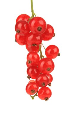 Frenk üzümü üzerinde beyaz izole Şubesi