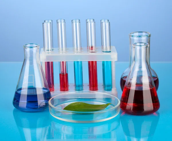 Test-tubes and green leaf tested in petri dish, on color background — Stock Photo, Image