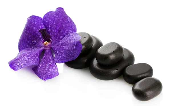 Spa stones and purple flower, isolated on white — Stock Photo, Image