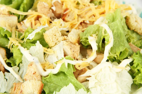 Caesar salaatti valkoisella lautasella, lähikuva — kuvapankkivalokuva