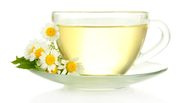 Xícara de chá de ervas com camomilas selvagens e hortelã, isolado em branco — Fotografia de Stock