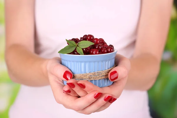 Mulher mãos segurando tigela de cranberries vermelhos maduros, perto u — Fotografia de Stock