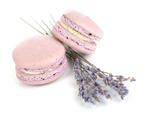 Lavender macaroons isolated on white — Stock Photo, Image