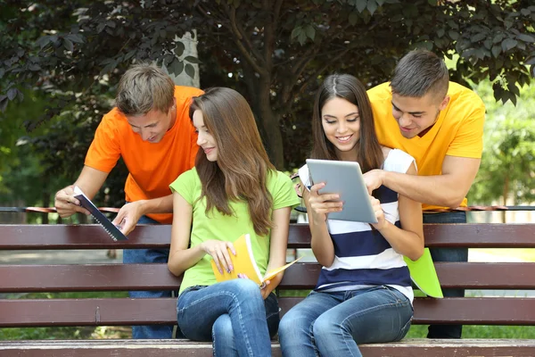 Feliz grupo de jóvenes estudiantes sentados en el parque — Foto de Stock