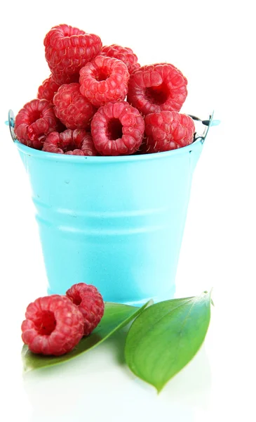 Ripe raspberries in pail isolated on white — Stock Photo, Image