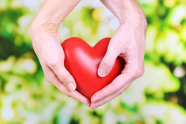 Heart in hands on nature background — Stock Photo, Image