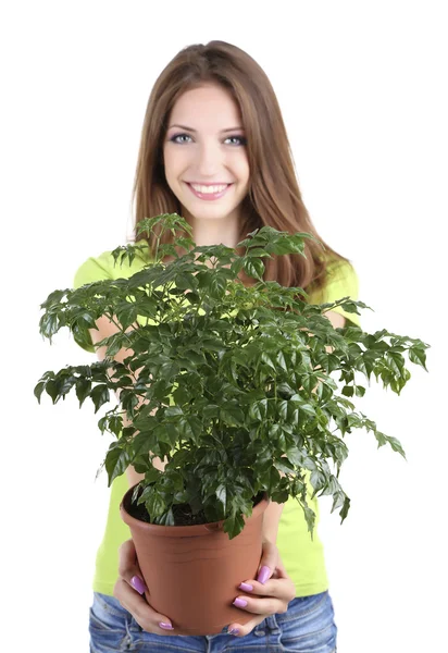 Vacker flicka med blomma i kruka isolerad på vit — Stockfoto