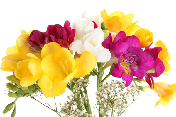 Beautiful bouquet of freesia in vase isolated on white — Stock Photo, Image