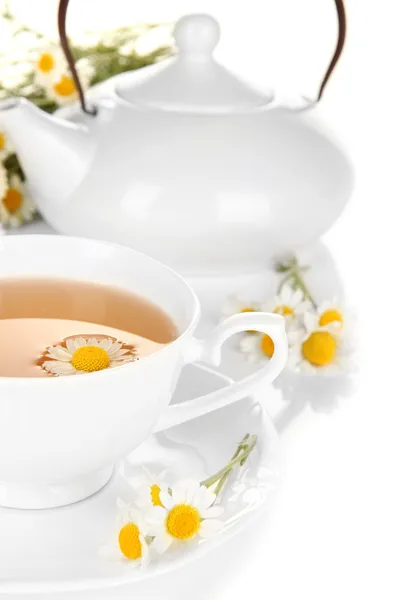 Cup of herbal tea with camomiles close up — Stock Photo, Image