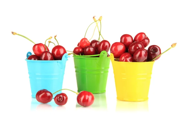 흰색 절연 pails에 익은 빨간 체리 열매 — 스톡 사진
