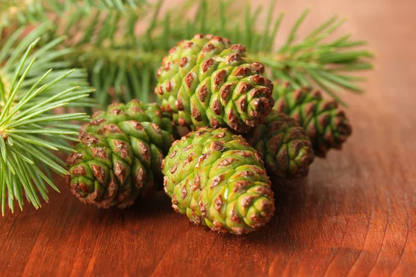 Green cones and fir tree on wooden background — Stock Photo, Image