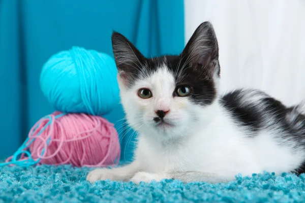 ファブリックの背景にブルーのカーペットの上の小さな子猫 — ストック写真