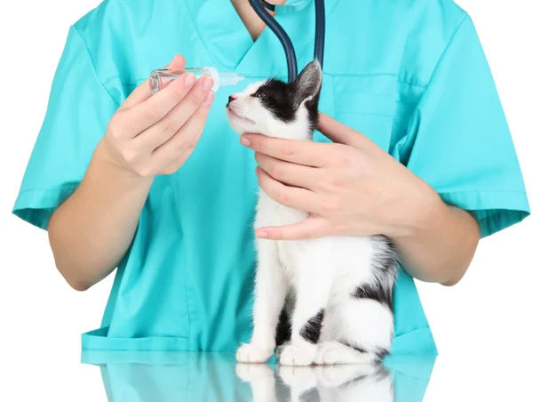 Veterinarian examining kitten isolated on white — Stock Photo, Image