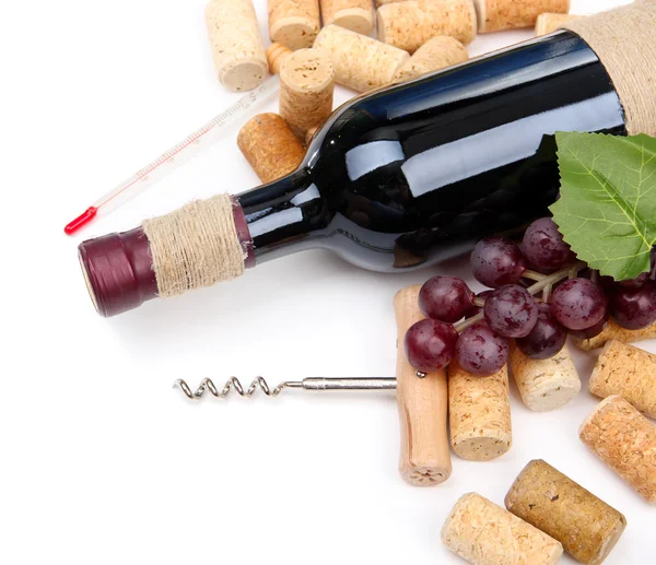 Bottle of wine, grapes and corks, isolated on white — Stock Photo, Image