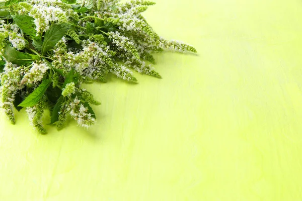 木製の緑の背景に新鮮なミントの花 — ストック写真