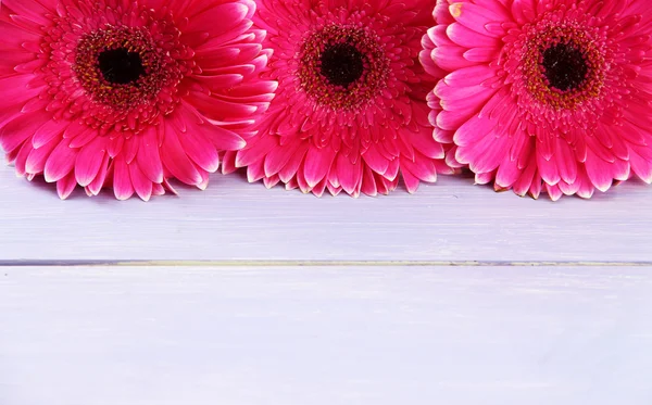 Hermosas flores de gerberas rosadas en mesa de madera púrpura —  Fotos de Stock