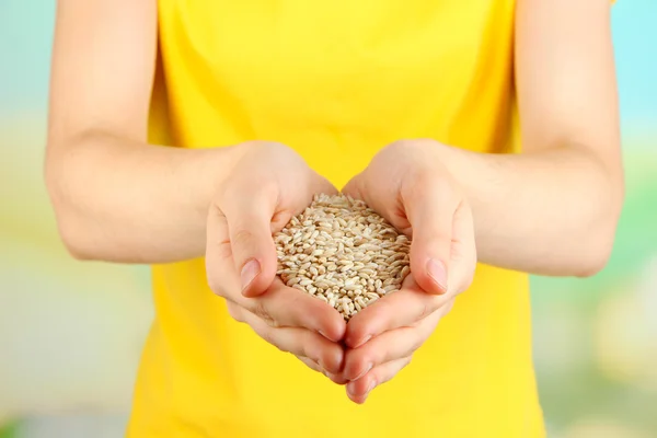 Wheat grain in female hands on natural background — Stockfoto