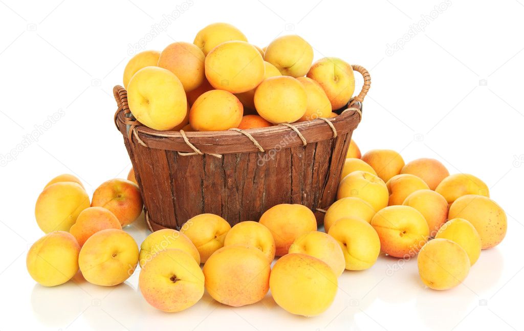 Fresh natural apricot in basket isolated on white