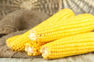 hasır tepsi zemin üzerine ahşap masa üstünde çul üzerinde ham Mısır