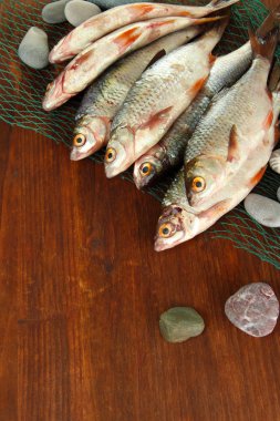 Balık ağı ahşap zemin üzerinde balıklar