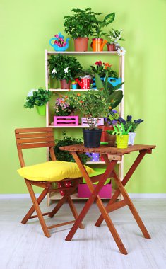 Tencere Oda çok güzel çiçekler