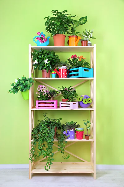 Belles fleurs dans des pots sur des étagères en bois dans la chambre — Photo