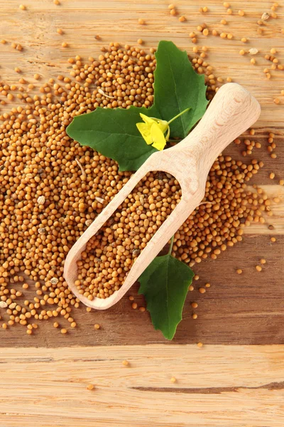 Semillas de mostaza con flor de mostaza sobre fondo de madera — Foto de Stock