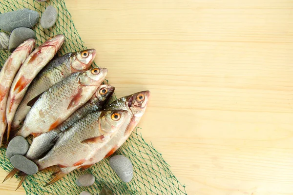 Peces en la red de pesca sobre fondo de madera — Foto de Stock