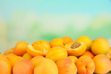 parlak zemin üzerine taze Naturel kayısı