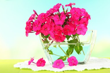 phlox kase üzerinde açık renkli masaya güzel buket