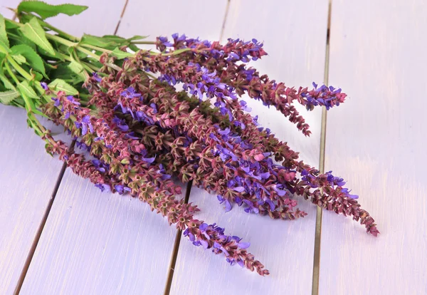 Цветы Сальвии на фиолетовом деревянном фоне — стоковое фото
