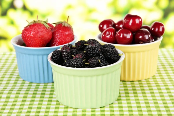 Rijp moerbeien met cherry en aardbeien in kommen op tafel op lichte achtergrond — Stockfoto