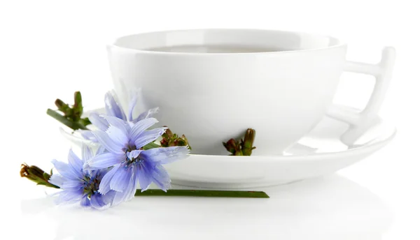 Чашка чаю з цикорієм, ізольована на білому — стокове фото