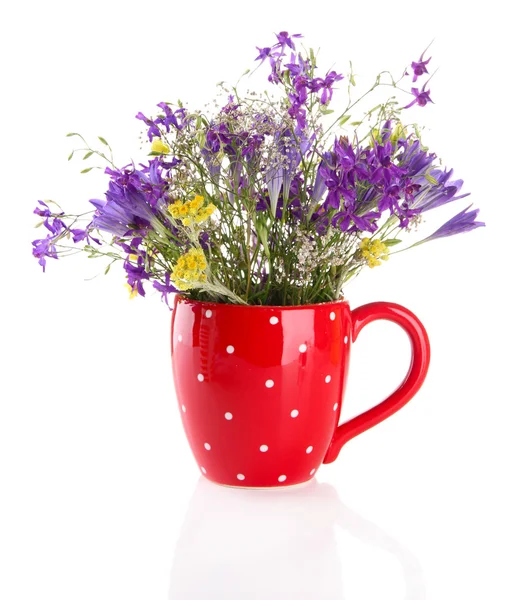 Mooi boeket van wilde bloemen in cup geïsoleerd op wit — Stockfoto