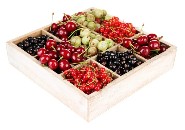 Different summer berries in wooden crate isolated on white — Stock Photo, Image